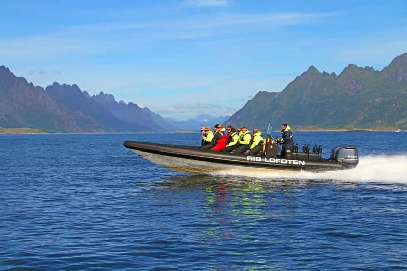 From Svolvær: Lofoten RIB Sea Eagle Safari Trollfjord Cruise - The RIB Ride Across Lofoten’s Coastal Scenery