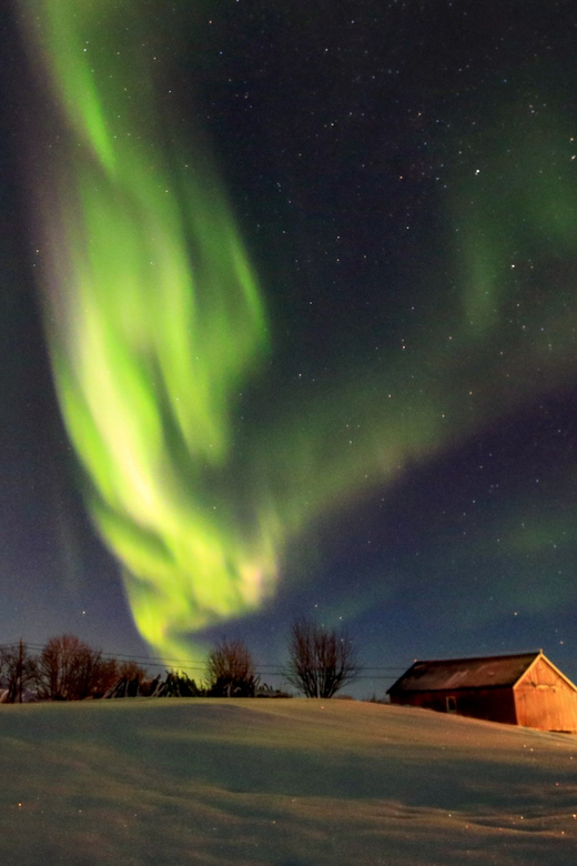 From Svolvaer: Private Northern Lights Search Trip - Meeting in Svolvaer and setting off after dark