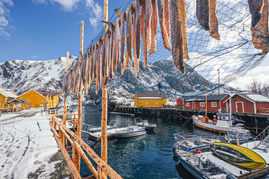 From Svolvær: Reine & Å Lofoten West Island Full Day Tour - Who should book this day trip?