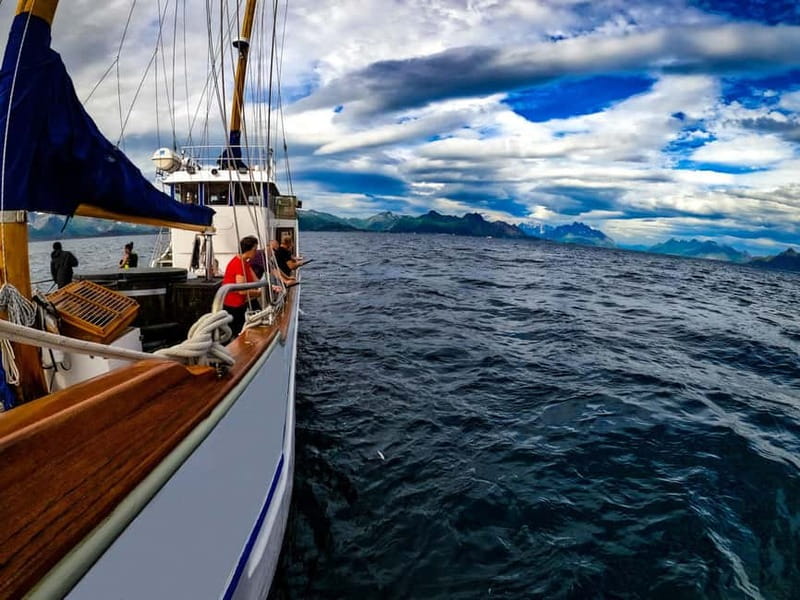 From Svolvær: Taste of Lofoten - Cultural Fishing Experience - Key points to know before you book