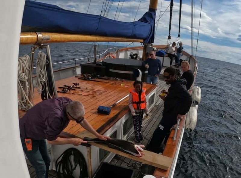 From Svolvær: Taste of Lofoten - Cultural Fishing Experience - Cruising into Vestfjorden
