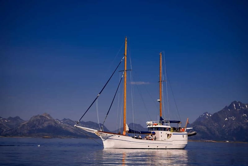 From Svolvær: Taste of Lofoten - Cultural Fishing Experience - What makes this more than a fishing lesson