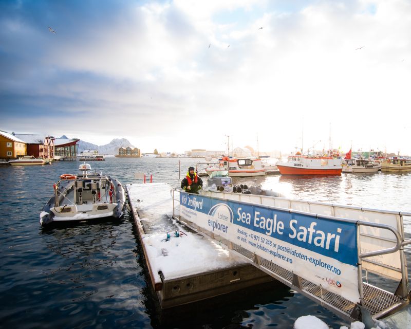From Svolvaer: Trollfjorden Wildlife RIB Cruise - Skrova, beaches, and the human side of the coast