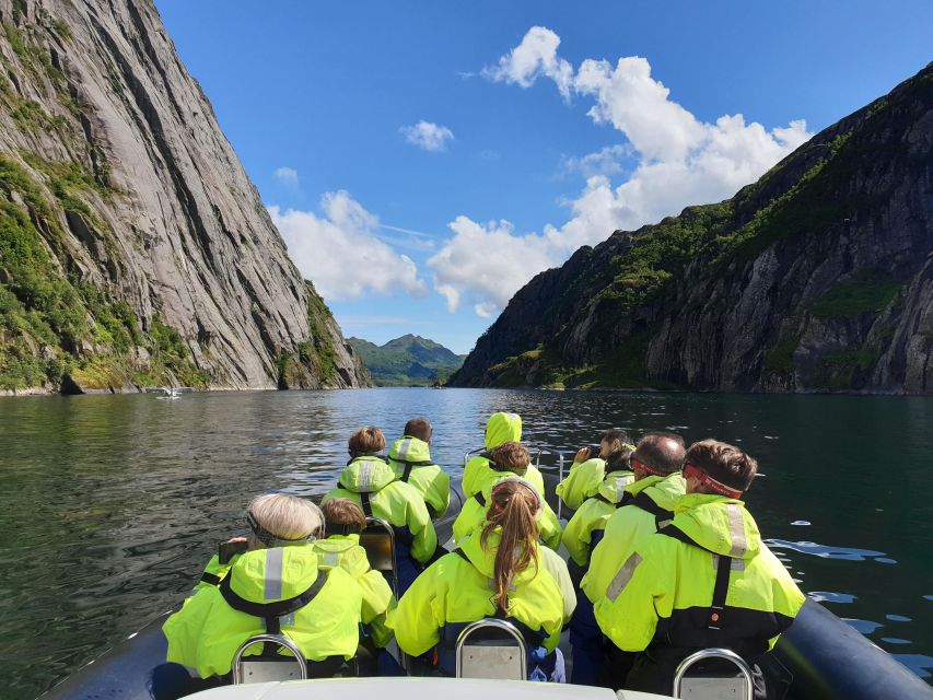 From Svolvaer: Trollfjorden Wildlife RIB Cruise - Through Øyhellsundet toward Trollfjord