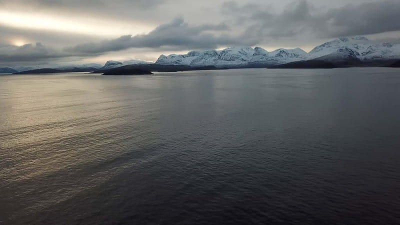 From Tromsø: All-Inclusive Whale & Orca Safari - Getting the best view from the decks