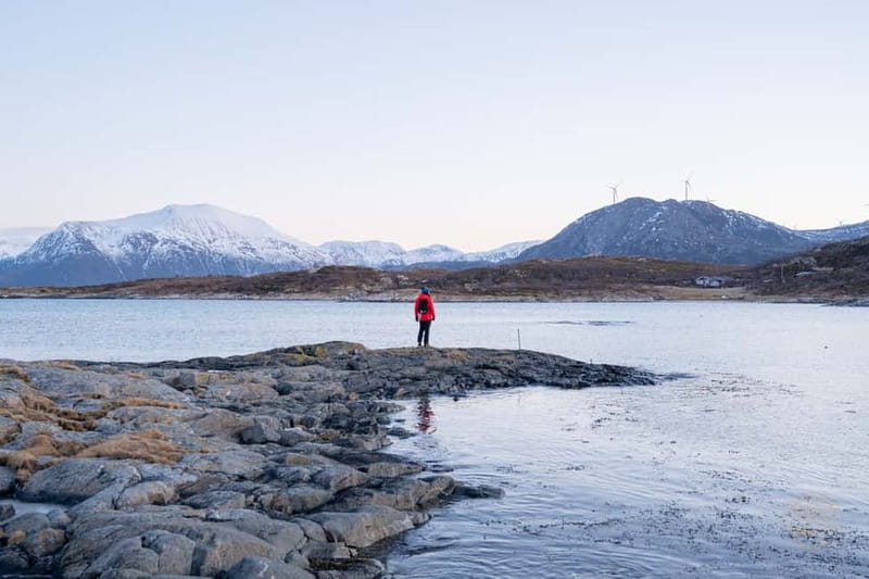 From Tromsø: Arctic Roadtrip: fjords tour with scenic picnic - Photos that add real value