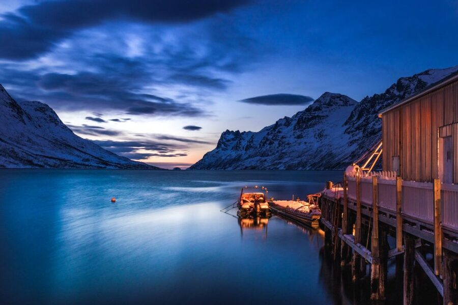From Tromsø: Arctic Wildlife & Fjord Sightseeing Tour by Car - Why this six-hour road trip works