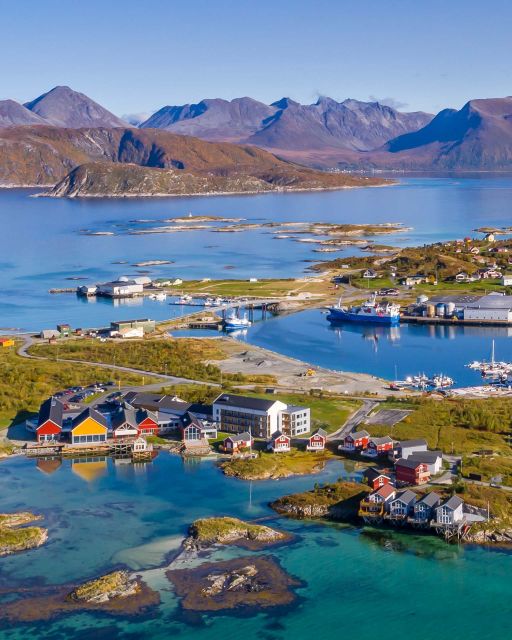 From Tromsø: Arctic Wildlife & Fjord Sightseeing Tour by Car - How realistic are the wildlife claims?