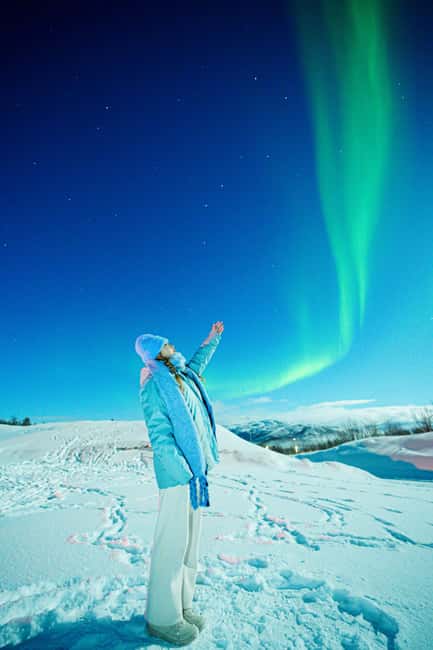 From Tromsø: Aurora Borealis Tour - Key points before you book