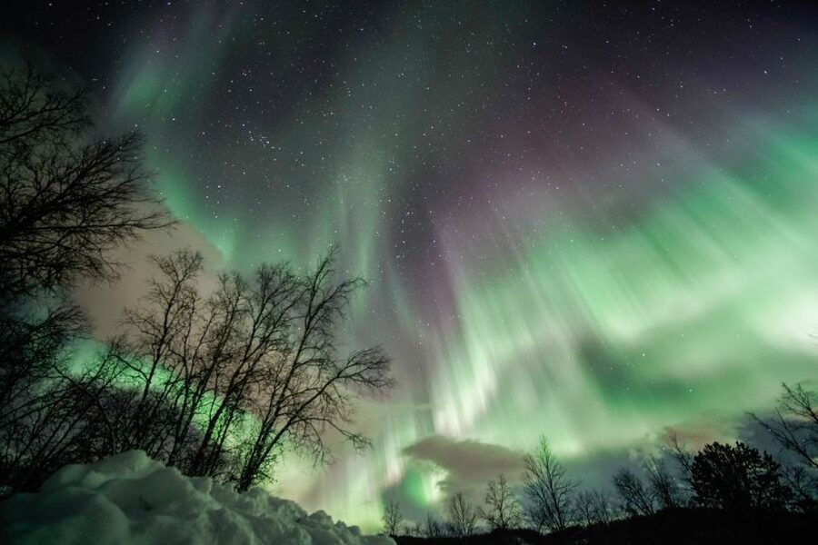 From Tromsø: Aurora Borealis Tour - The guides are the main reason to choose this company