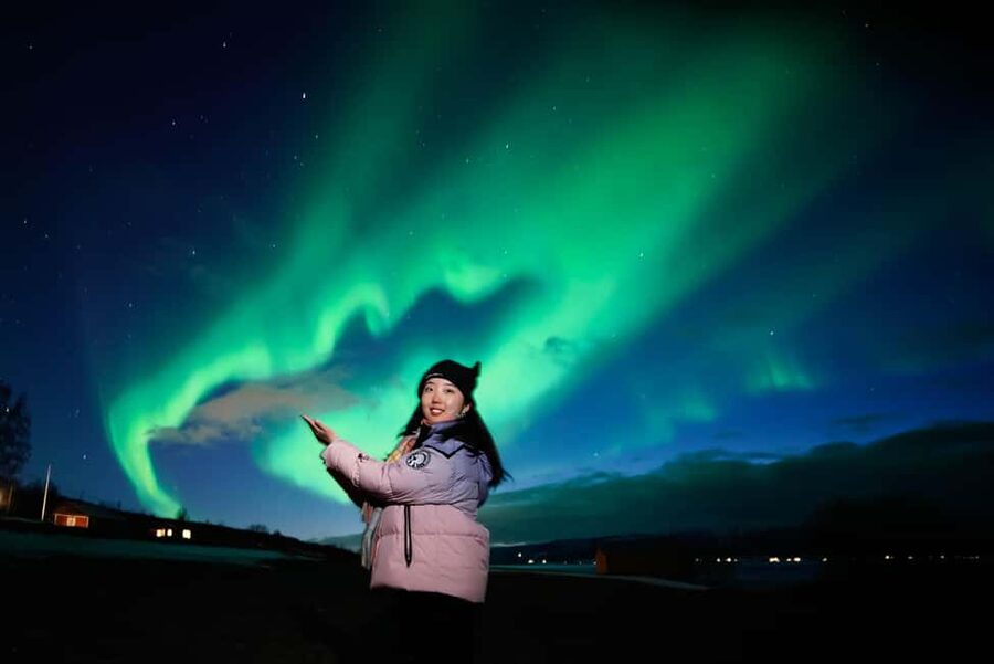 From Tromsø: Aurora Borealis Tour - Who should book this experience?