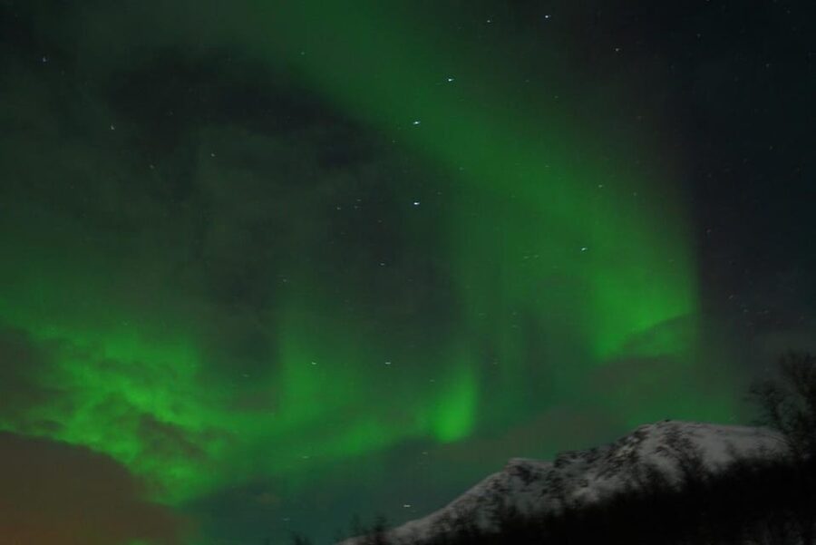 From Tromsø: Aurora Bus Tour with Snacks, Photos, and Drinks - Understanding the Northern Lights before you wait