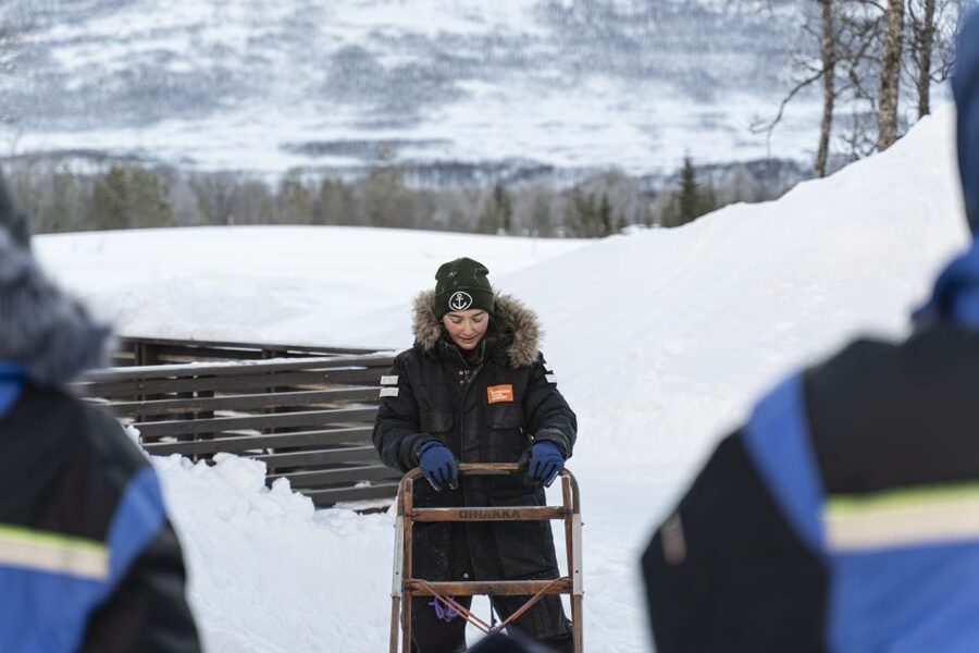 From Tromsø: Fun and Easy Dog Sledding Adventure - From Tromsø harbor to the Breivikeidet valley