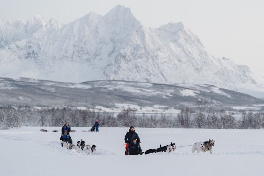 From Tromsø: Fun and Easy Dog Sledding Adventure - Meeting the huskies after the ride