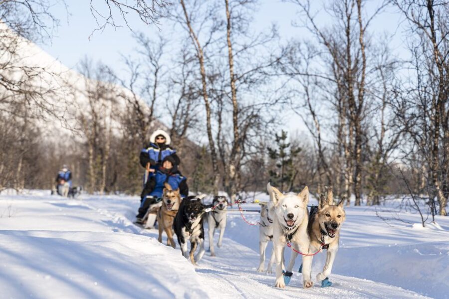 From Tromsø: Fun and Easy Dog Sledding Adventure - Warming up inside the lavvu