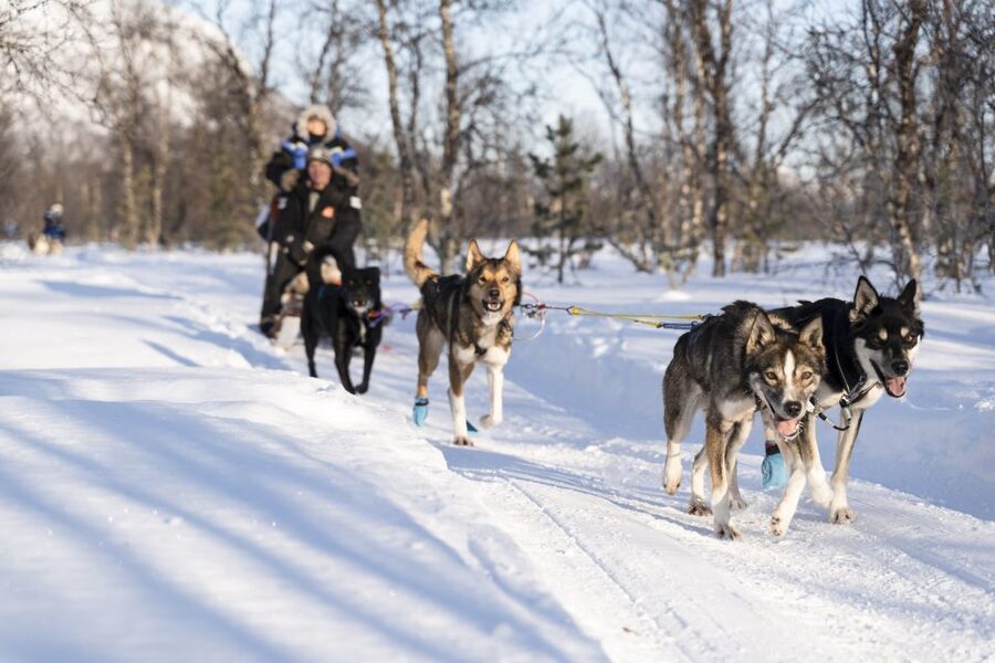 From Tromsø: Fun and Easy Dog Sledding Adventure - Getting fitted for Arctic weather