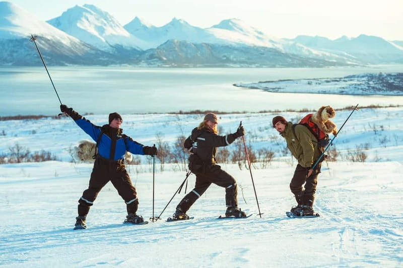 From Tromsø: Guided Husky Snowshoe Hike and Husky Camp Visit - Practical details that make the day easier