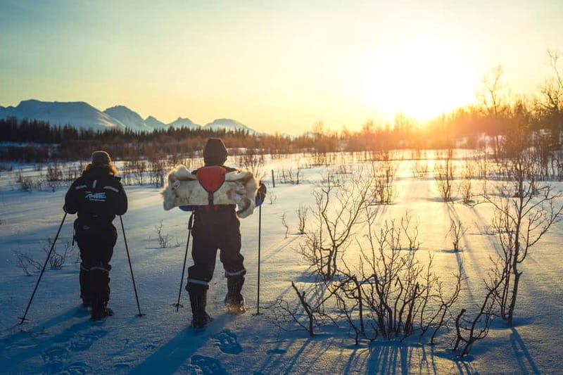 From Tromsø: Guided Husky Snowshoe Hike and Husky Camp Visit - From Tromsø to Kvaløya in about 30 minutes