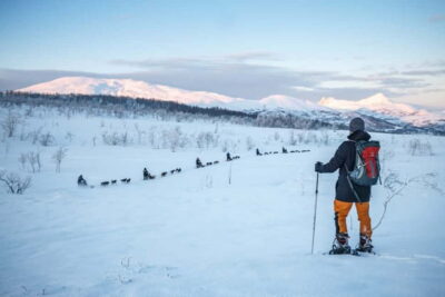Guided Husky Snowshoe Hike and Husky Camp Visit