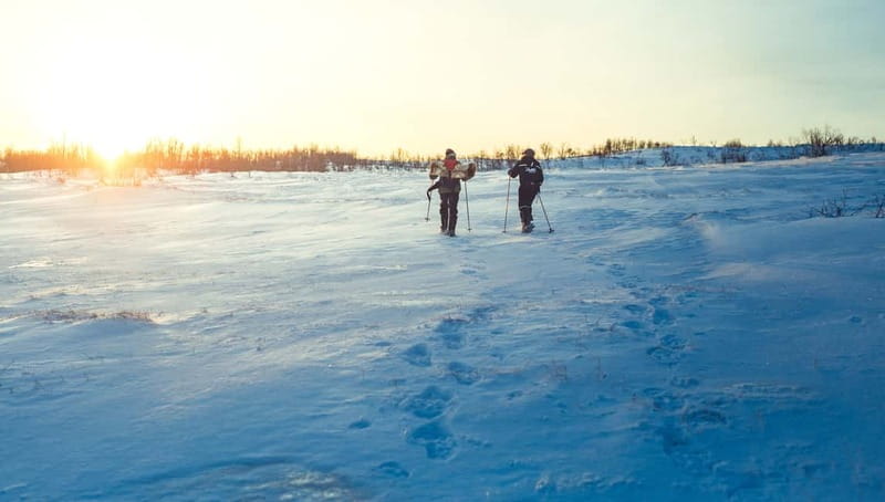 From Tromsø: Guided Husky Snowshoe Hike and Husky Camp Visit - Meeting 200 huskies and their puppies