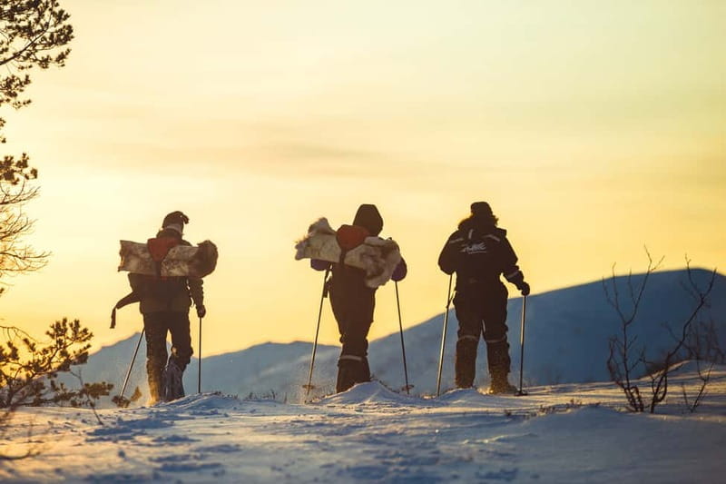 From Tromsø: Guided Husky Snowshoe Hike and Husky Camp Visit - What the guides add to the experience