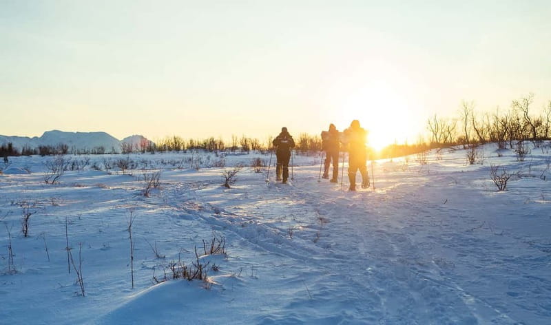From Tromsø: Guided Husky Snowshoe Hike and Husky Camp Visit - Who should book this husky hike?