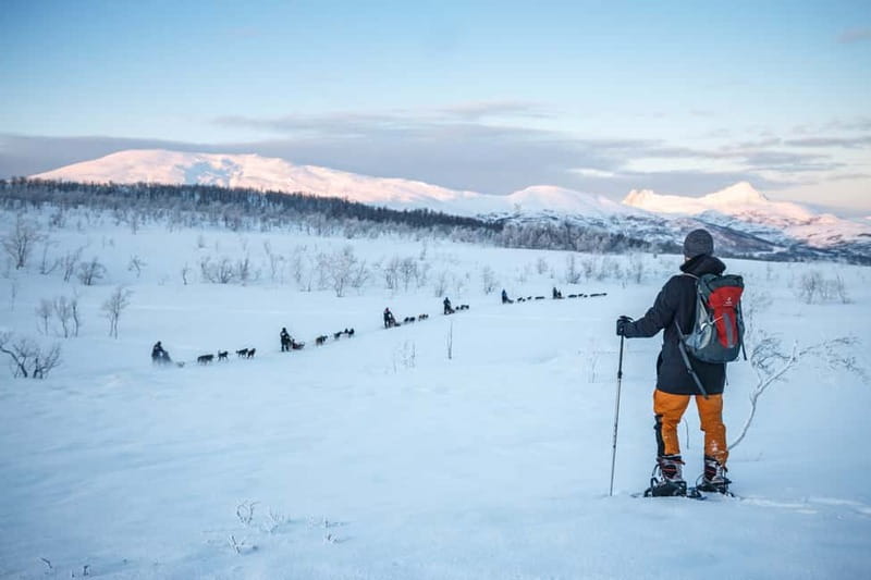 From Tromsø: Guided Husky Snowshoe Hike and Husky Camp Visit - Getting ready for a beginner-friendly snowshoe walk
