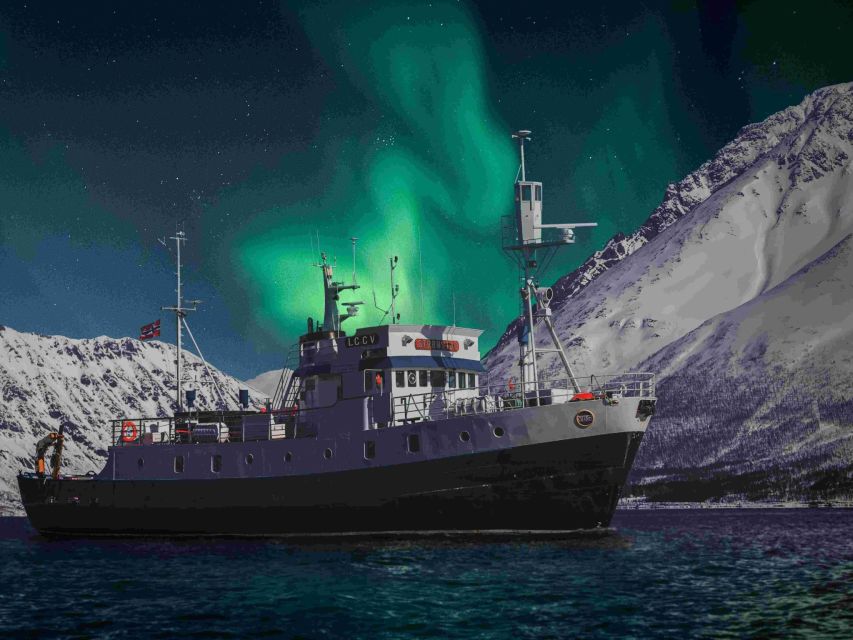 From Tromsø: Northern Lights Cruise on a Cozy Vintage Vessel - Key points to know before booking