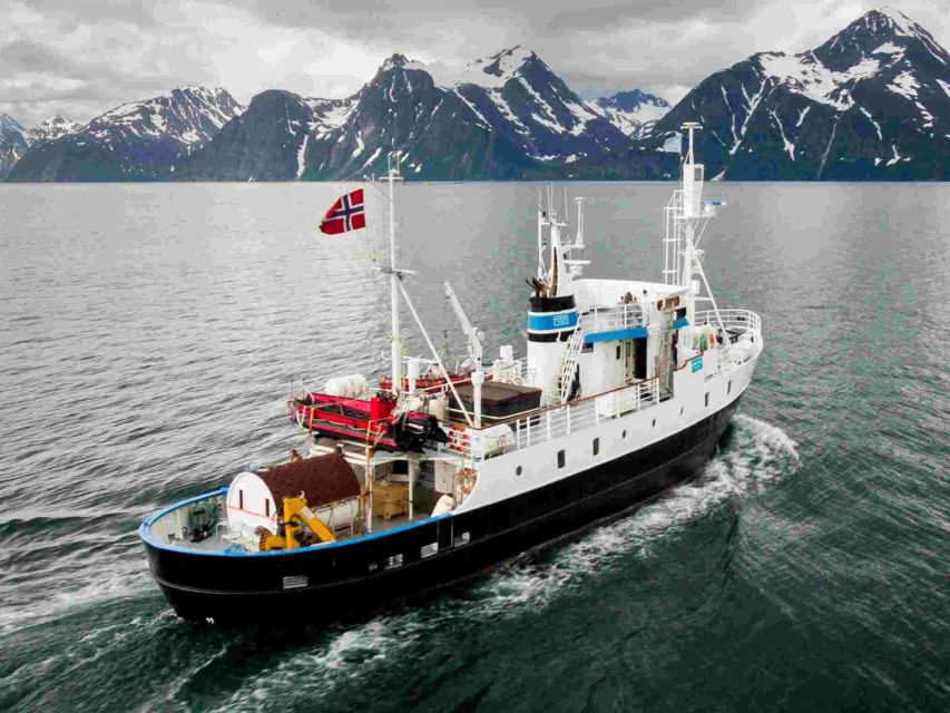 From Tromsø: Northern Lights Cruise on a Cozy Vintage Vessel - The first hour: from presentation to Arctic water