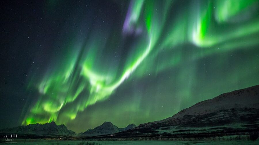 From Tromsø: Northern Lights Tour - Quick points to know before you book