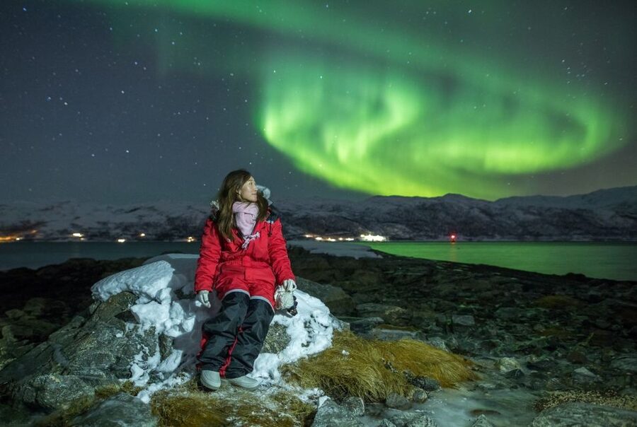 From Tromsø: Northern Lights Tour - How $235 measures up