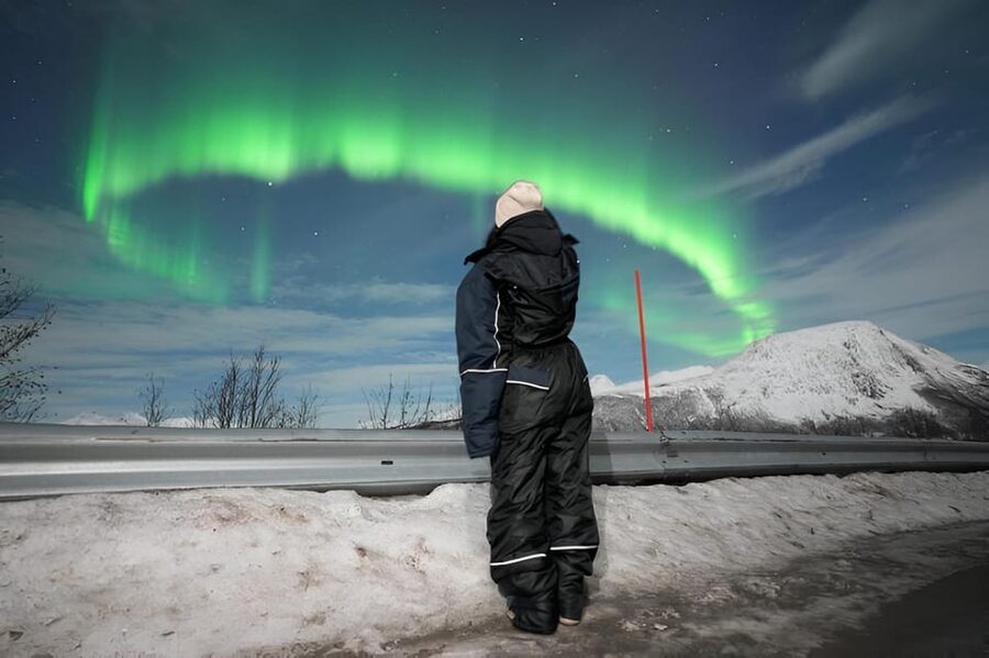 From Tromsø: Northern Lights Tour in Minibus with Photos - Thermal suits, spikes, and the real cold