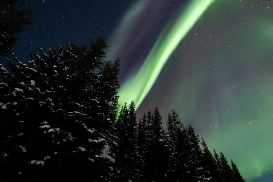 From Tromsø: Northern Lights Visit at Camp Tamok - The Northern Lights gamble
