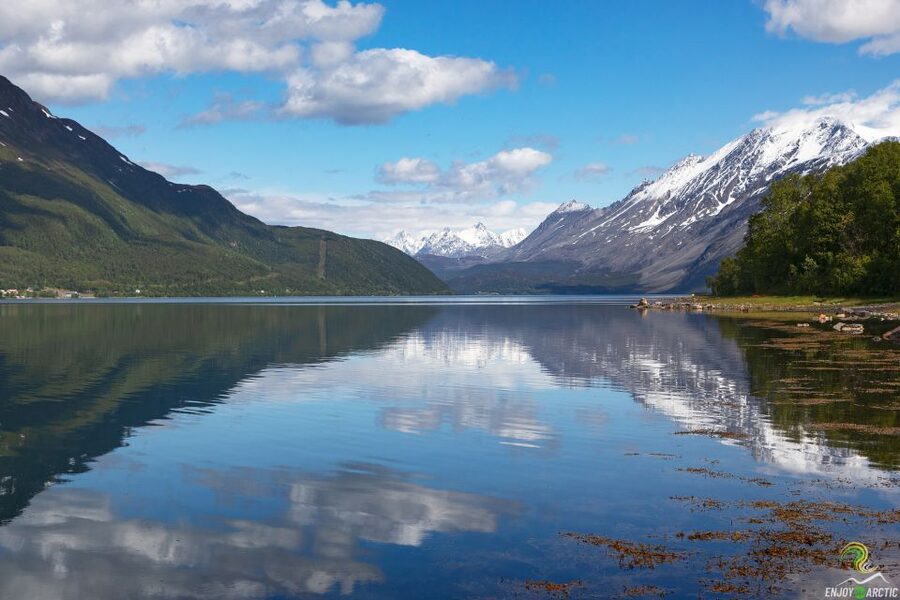 From Tromso: Norwegian Fjords Half-Day Tour - Why Kvaløya makes a better half-day outing than city sightseeing