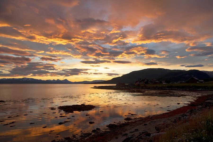 From Tromso: Norwegian Fjords Half-Day Tour - Kvaløya’s fjords, beaches, and changing route