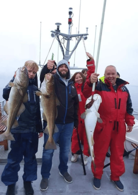 From Tromso: Polar Fishing Adventure - Hella and Kvaløya: the first fishing waters