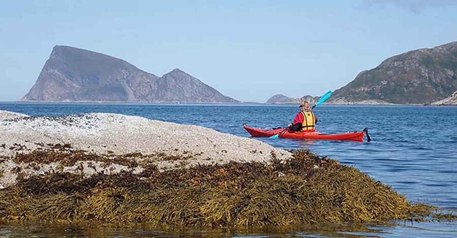 From Tromsø: Sea Kayaking Tour at Sommarøy with Transfer - The weather rule is important, not fine print