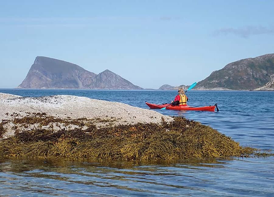 From Tromsø: Sea Kayaking Tour at Sommarøy with Transfer - Stable double kayaks make the first hour easier