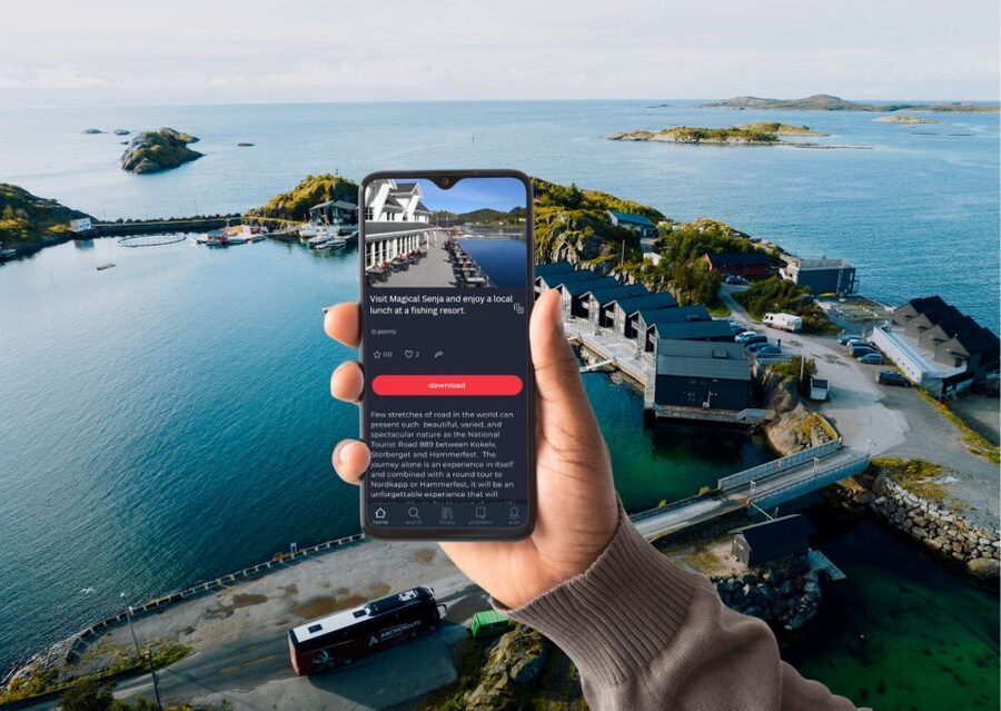 From Tromsø: Self-Guided Fjord Tour to Senja and Local Lunch - Ersfjord Beach offers a short photo stop