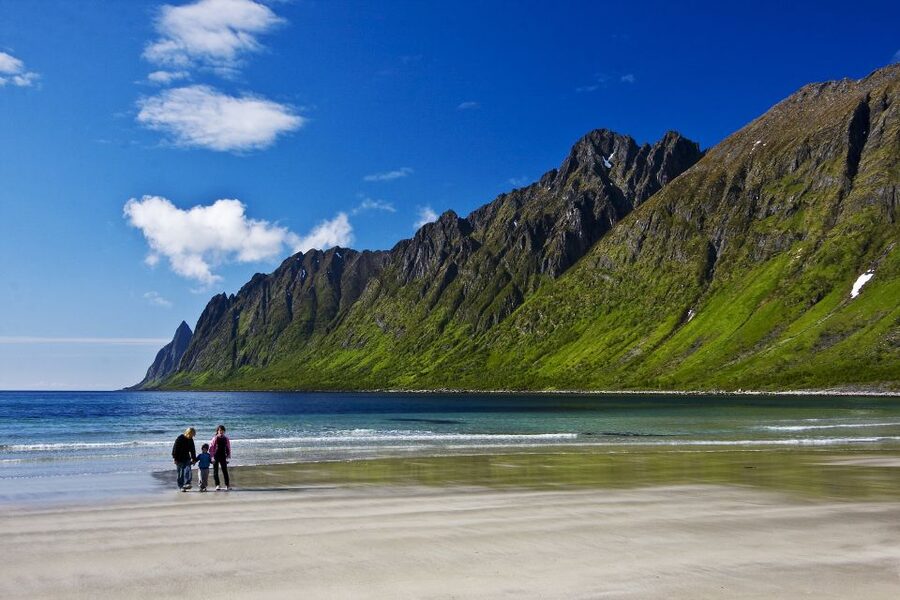 From Tromsø: Self-Guided Fjord Tour to Senja and Local Lunch - Hamn i Senja brings scenery and lunch together