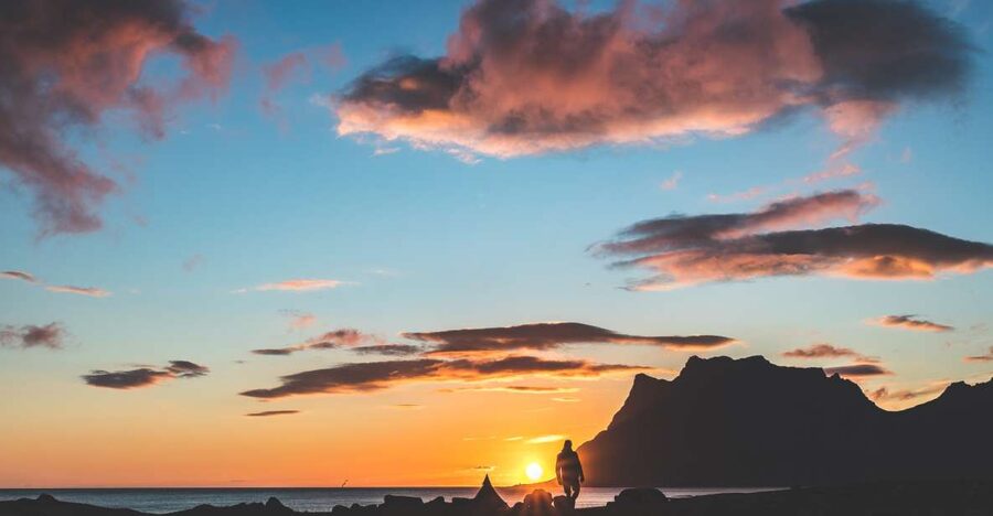 From Tromsø: Senja and Kvaløya Arctic Day Trip with Lunch - Five things to know before you book