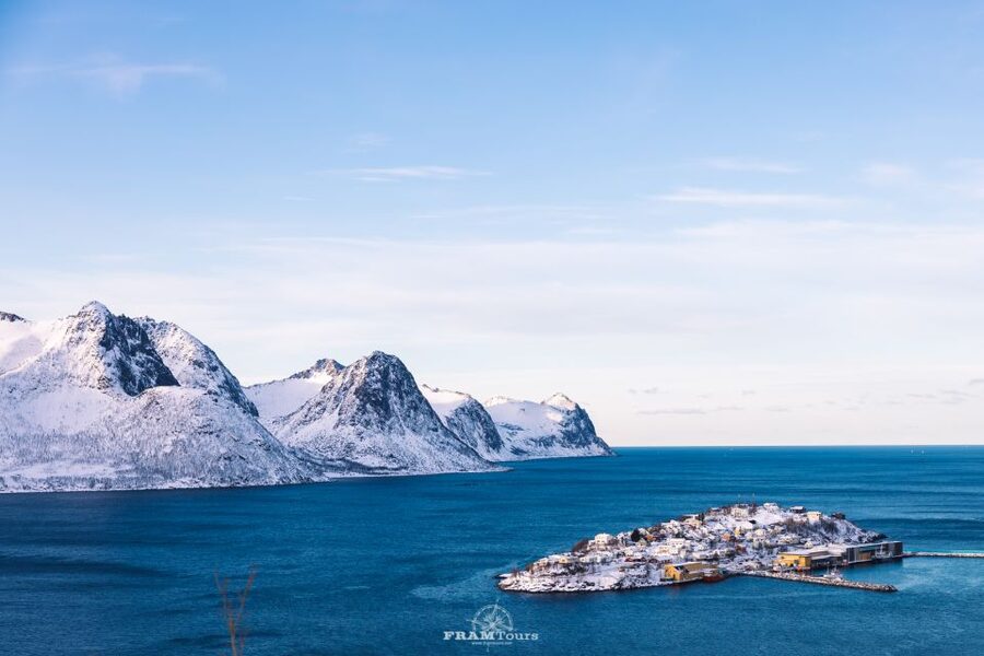 From Tromsø: Senja and Kvaløya Arctic Day Trip with Lunch - Wildlife, plants, and life in the Arctic