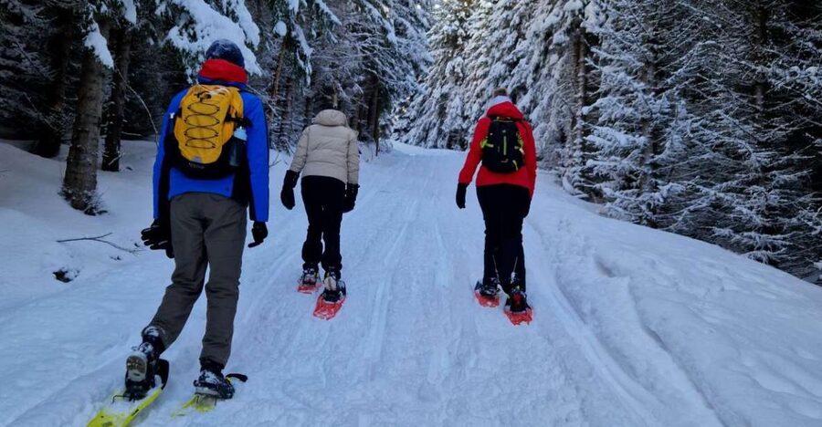 From Tromsø: Snowshoe Hike in the Arctic - Quick points before you book