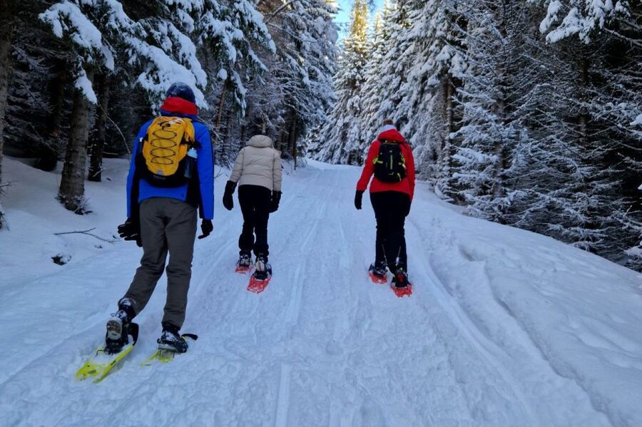 From Tromsø: Snowshoe Hike in the Arctic - Three hours through snow, trees, and fjord country