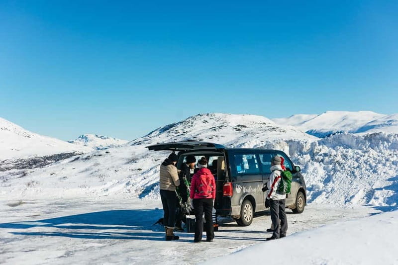 From Tromsø: Snowshoeing Hike with Picnic Lunch and Photos - Keep your eyes open for Arctic wildlife