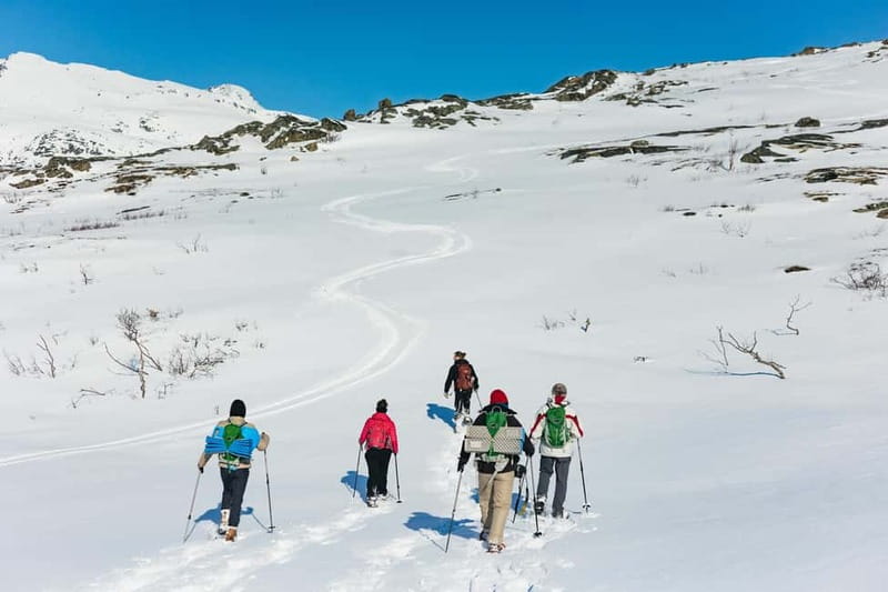 From Tromsø: Snowshoeing Hike with Picnic Lunch and Photos - What the $152 price really includes