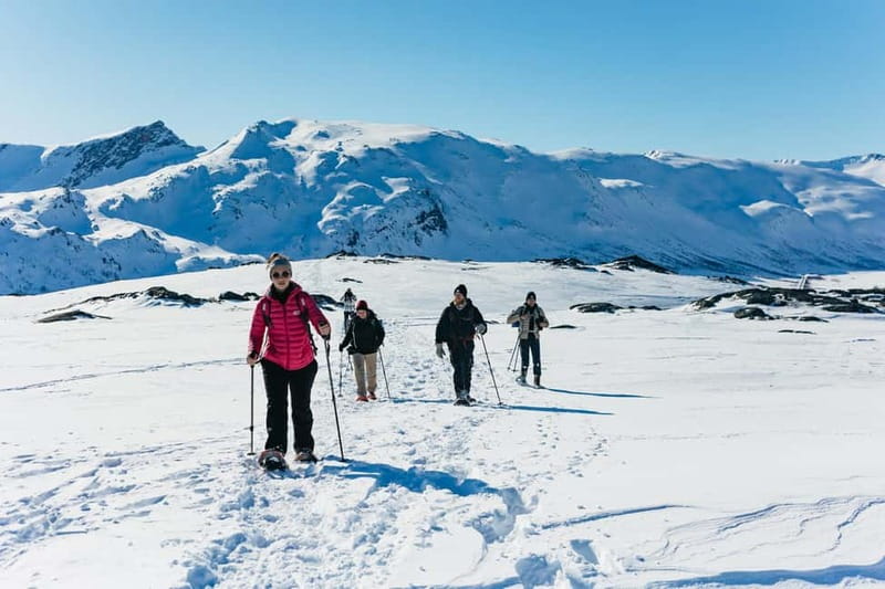 From Tromsø: Snowshoeing Hike with Picnic Lunch and Photos - The Kvaløya hike takes real effort