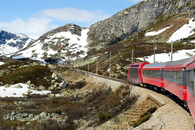 Full Day Guided Roundtrip From Bergen To Sognefjord With Flam Railway - Riding the Flåm Railway toward Bergen