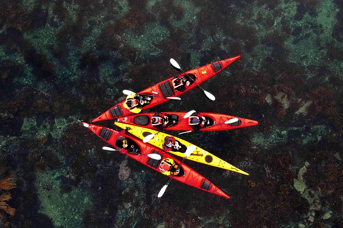 Full Day Kayak-Northern Explorer - Key Points Before You Book