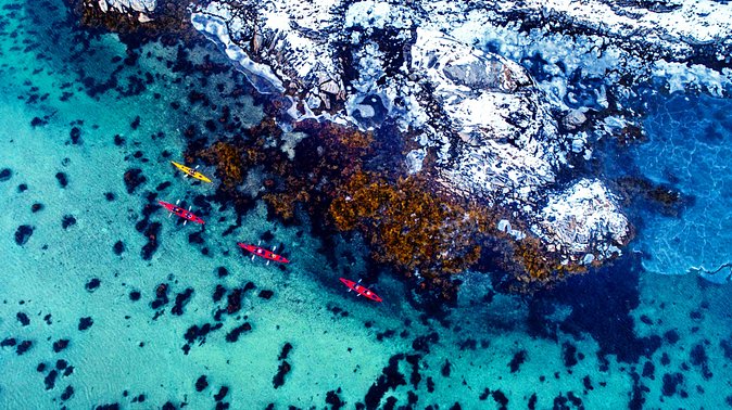 Full Day Kayak-Northern Explorer - Six Hours on the Water: How Demanding Is It?